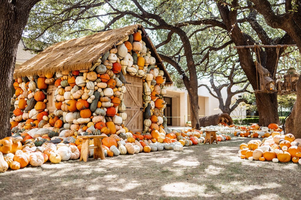 pumpkin patch dallas - landscape architects