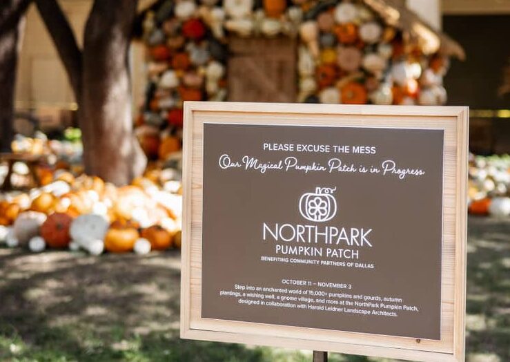 NorthPark Pumpkin Patch Dallas - Horizon Plumbing