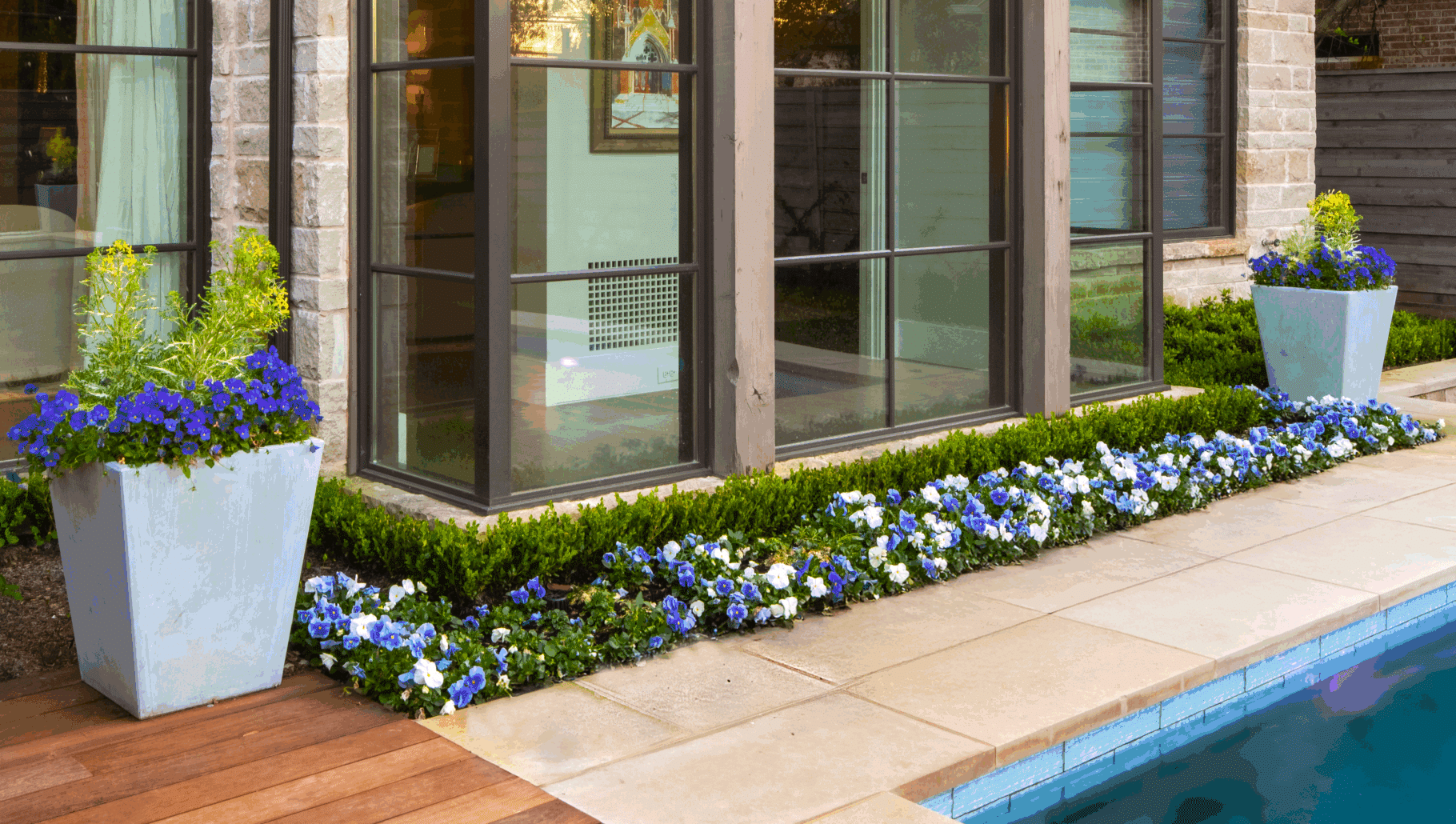 Dallas Landscapes-Concierge Seasonal Color Services